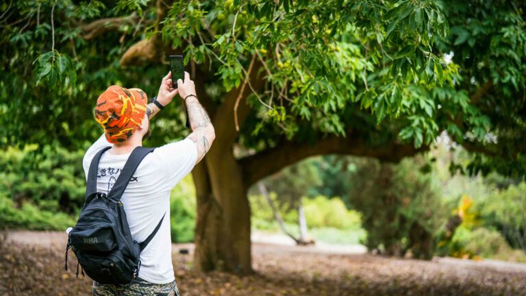 Hero Nature apps Tresco Scilly oxana melis Qpvofze VEg unsplash scaled