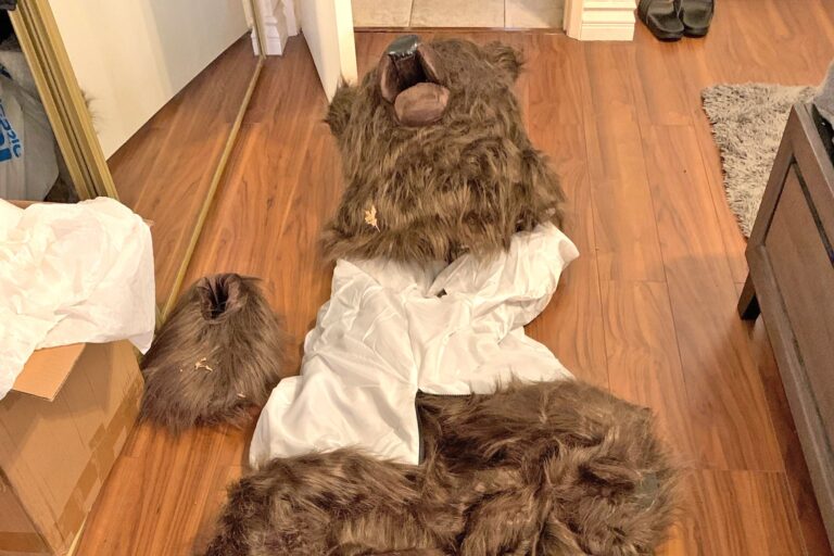 1731682031 Bearcostume o