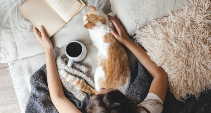 cat and book