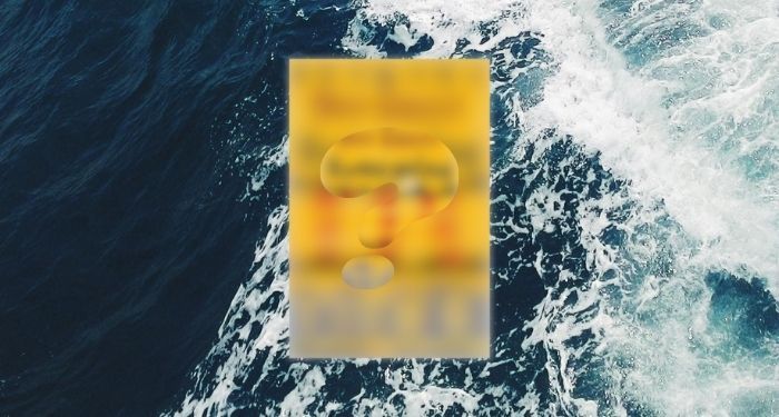 mystery book cover image blurred with question mark against backdrop of frothing ocean.jpg.optimal