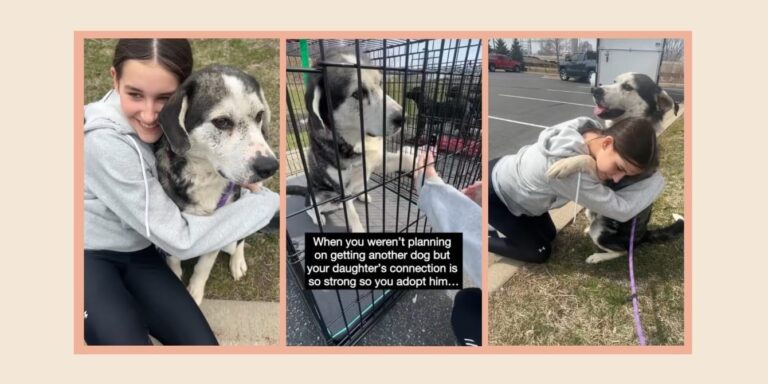 senior rescue