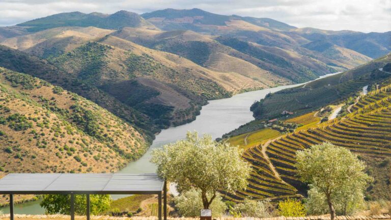 Portugal Intrepid Faia Brava Reserve The Coa River Valley from the museum Faia Brava Photo JD Murphy